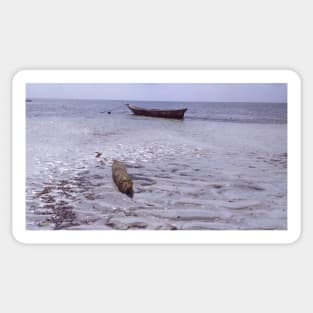 A canoe and a log Sticker